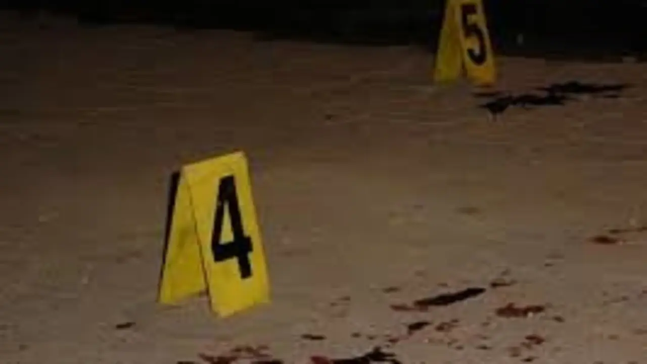 muert&oacute;n de noche