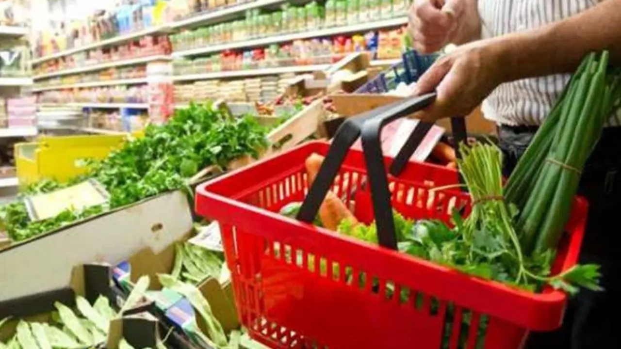 Canasta B&aacute;sica