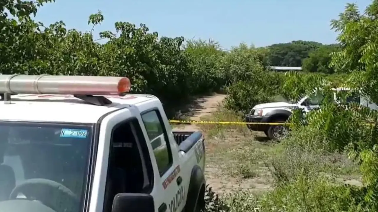 11949277_1460352544271296_979885985312791528_n