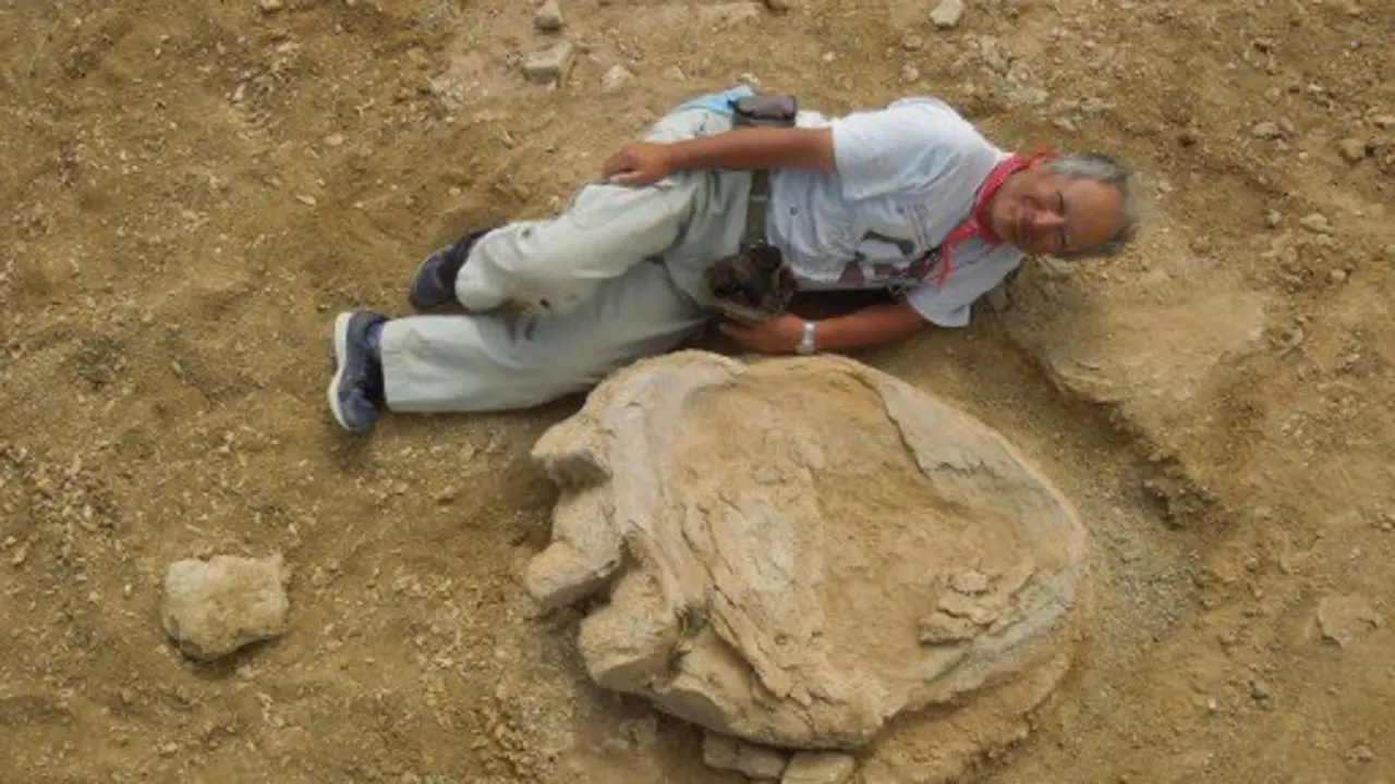 This handout picture taken on August 21, 2016 and released by Okayama University of Science and Mongolian academy of sciences joint expedition on September 30 shows Okayama University of Science Professor Shinobu Ishigaki lying next to a dinosaur footprint in Gobi Desert.
A Mongolia-Japan joint expedition has found four fossil footprints in a layer of earth that dates back 70-90 million years ago in Gobi Desert. / AFP PHOTO / Okayama University of Science an / HO