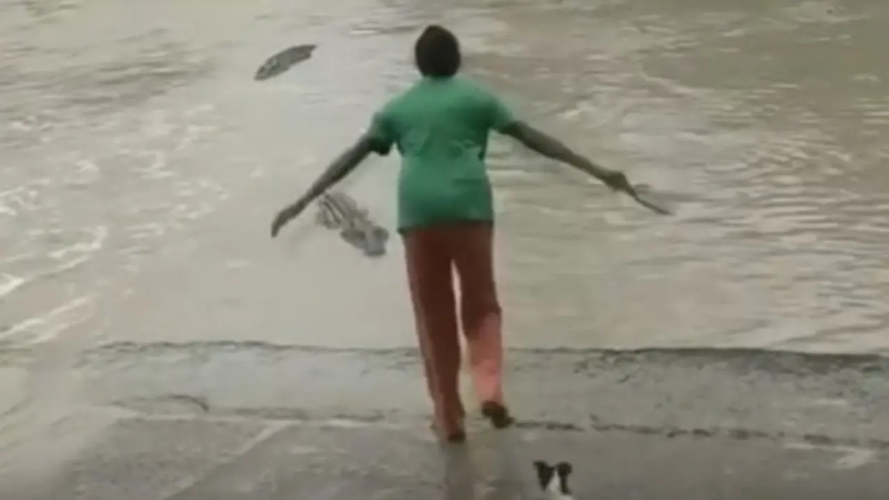 Ahuyenta cocodrilo a chancletazos