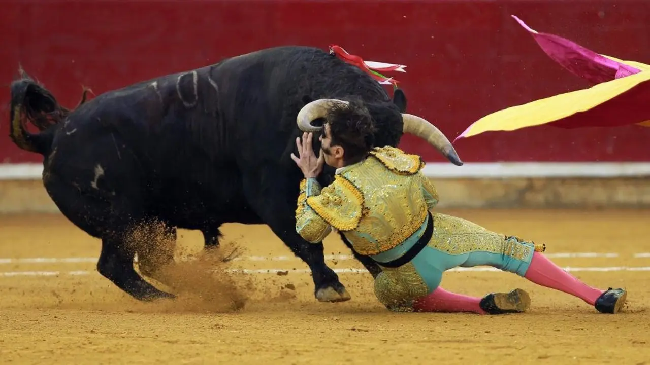 Spanish matador Juan Jose Padilla is hit by a bull during the El Pilar Feria at La Misericordia bullring on October 15, 2016. / AFP PHOTO / ALBERTO SIMON