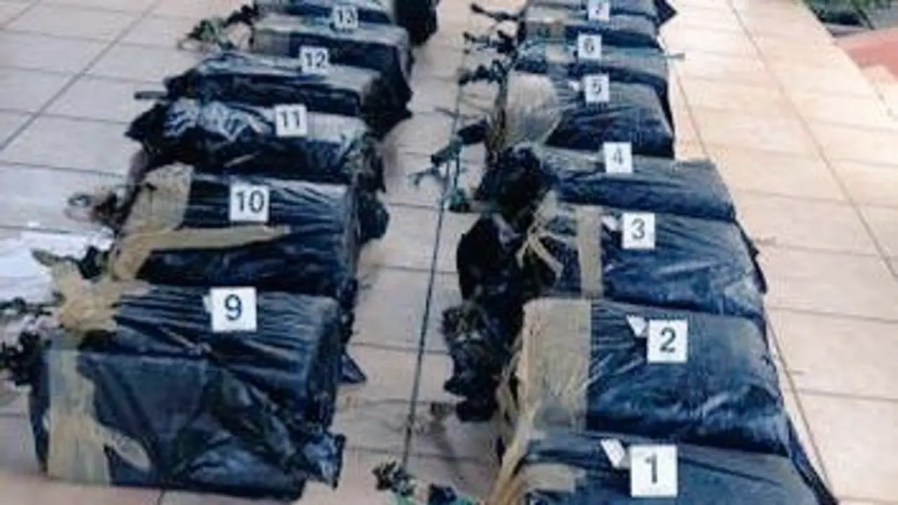 Fotograf&iacute;a de refencia