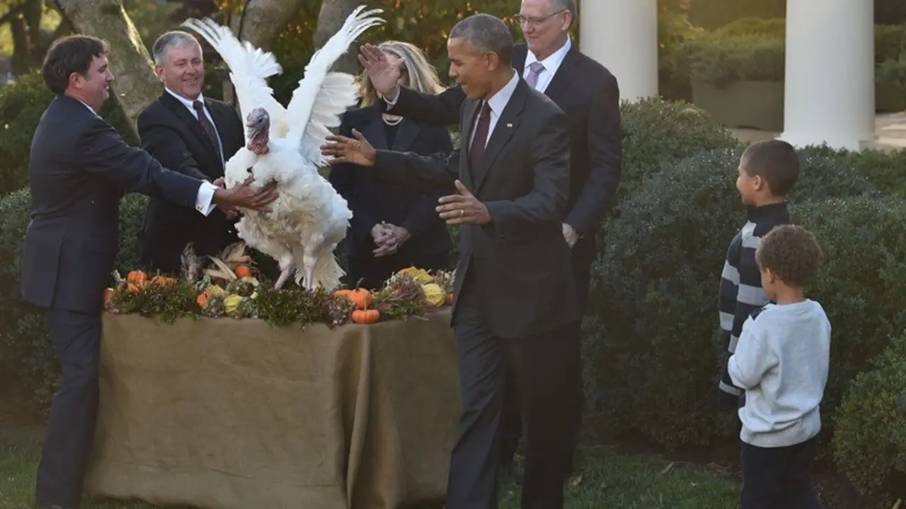 Obama salva pavo