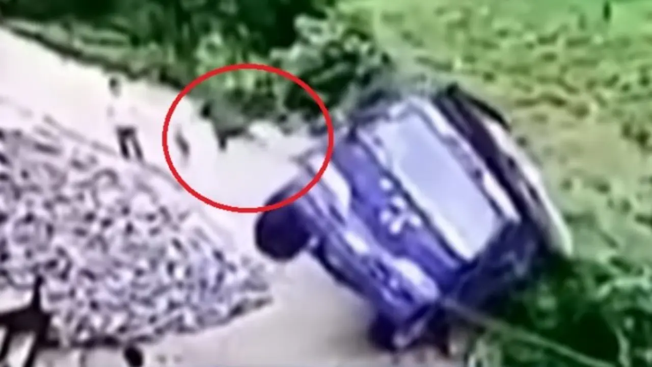 fast and furious real