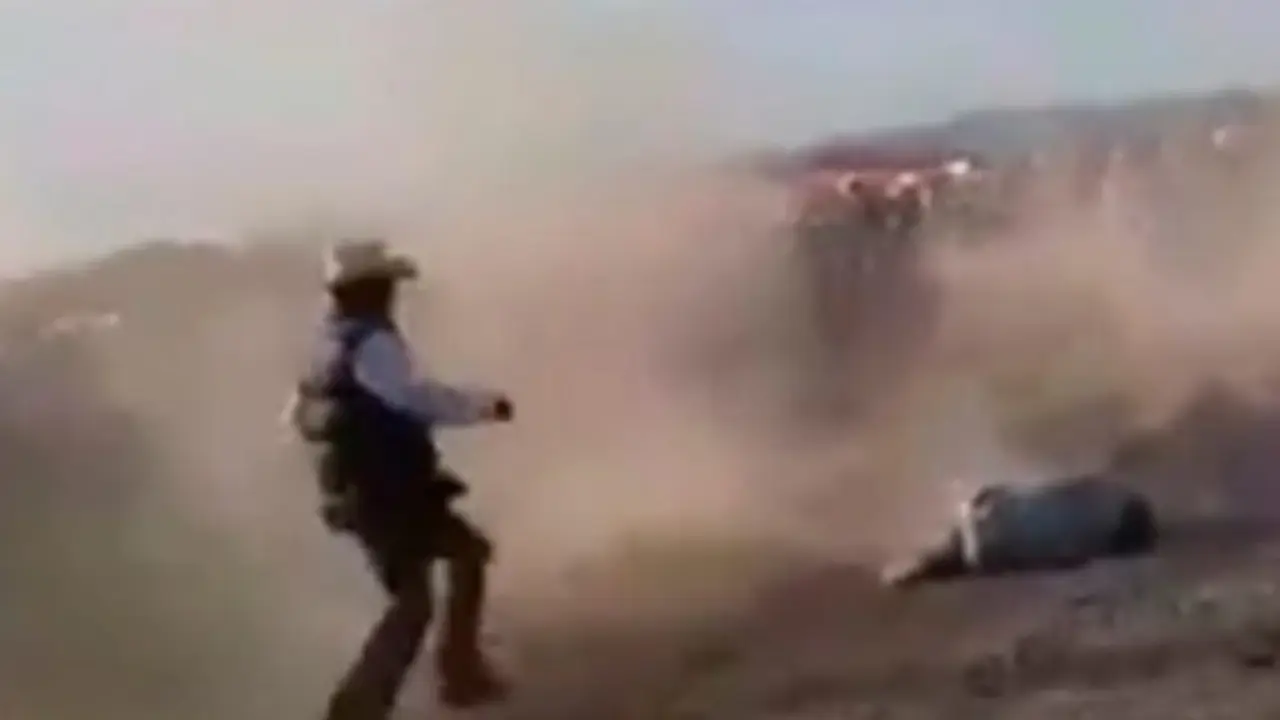 Jinete muere en Los 15 a&ntilde;os de Rub&iacute;