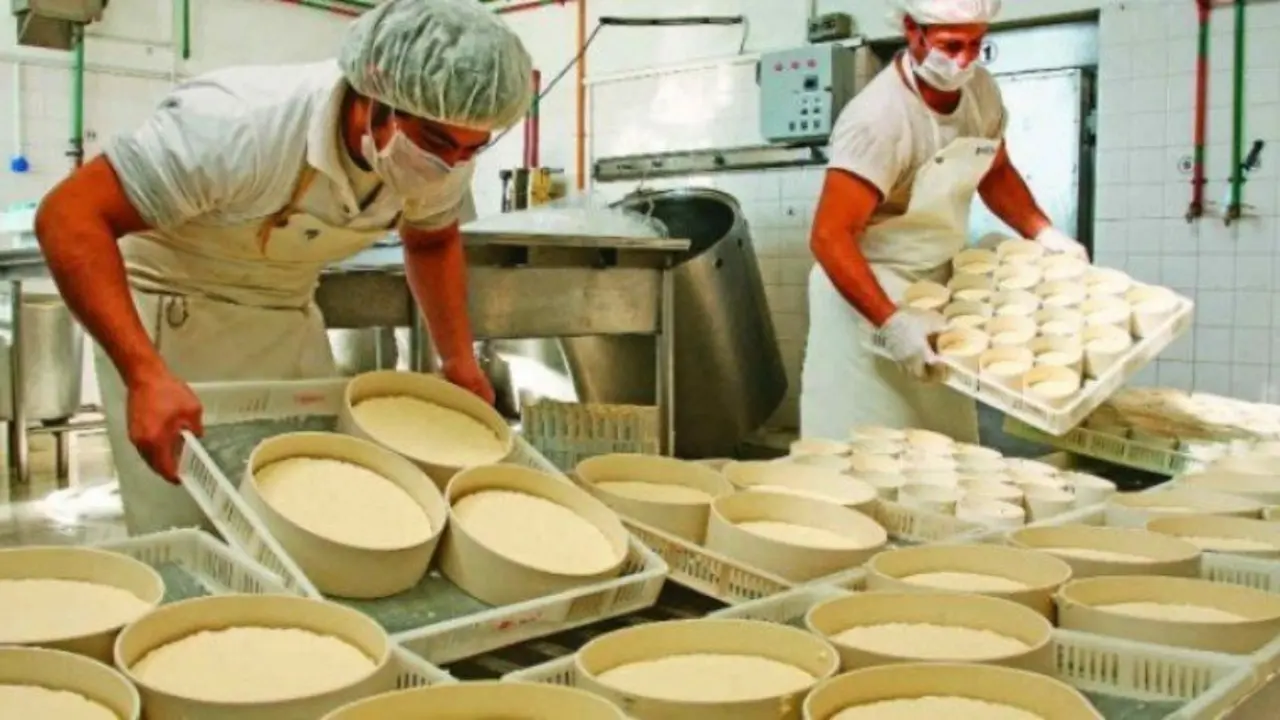 Producci&oacute;n de queso