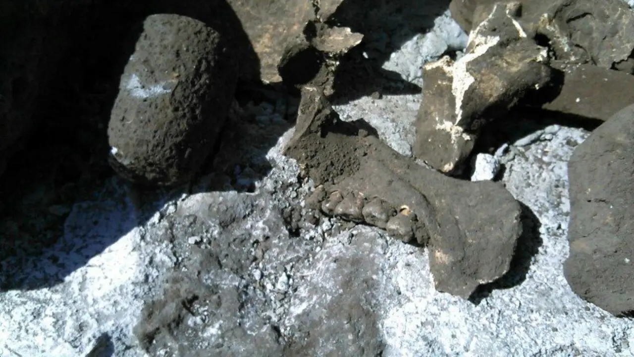 Foto Facebook Fiscal&iacute;a de Morelos, M&eacute;xico