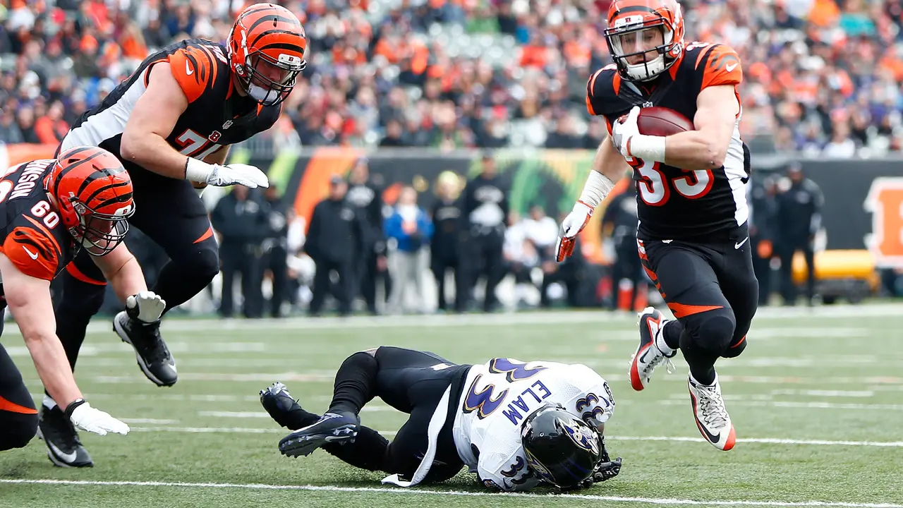 CINCINNATI, OH - JANUARY 1: Rex Burkhead #33 of the Cincinnati Bengals breaks a tackle by Matt Elam #33 of the Baltimore Ravens to score a touchdown during the first quarter at Paul Brown Stadium on January 1, 2017 in Cincinnati, Ohio.   Michael Hickey/Getty Images/AFP