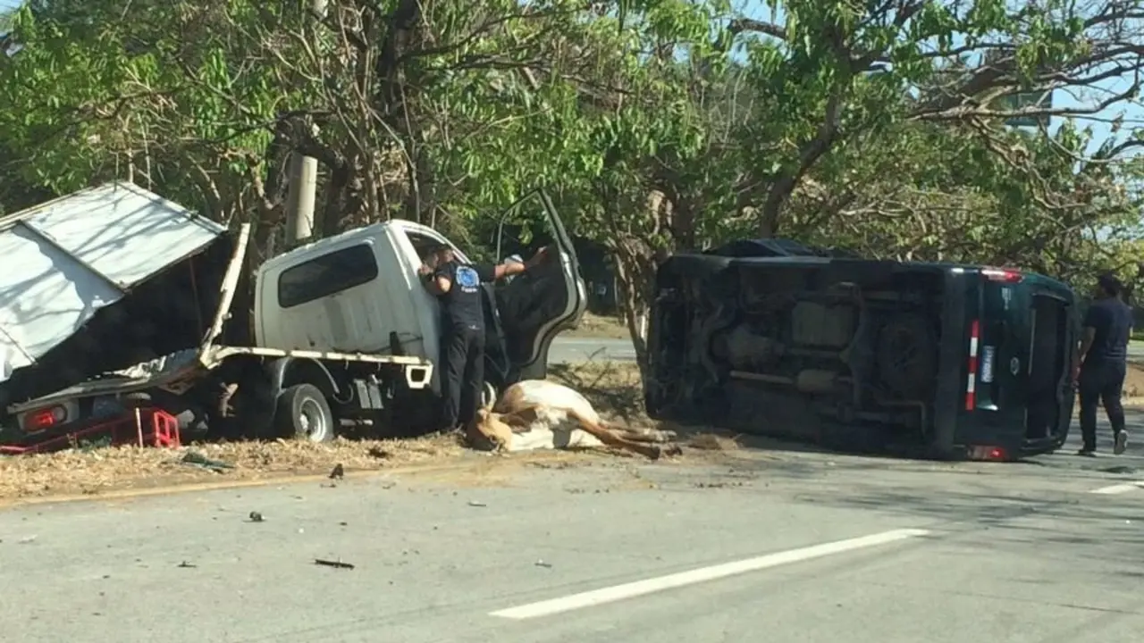 accidente de tr&aacute;nsito
