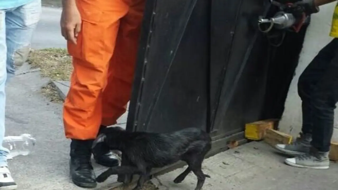 5053c1a5-ba39-4249-b255-de1d6cb07ee8