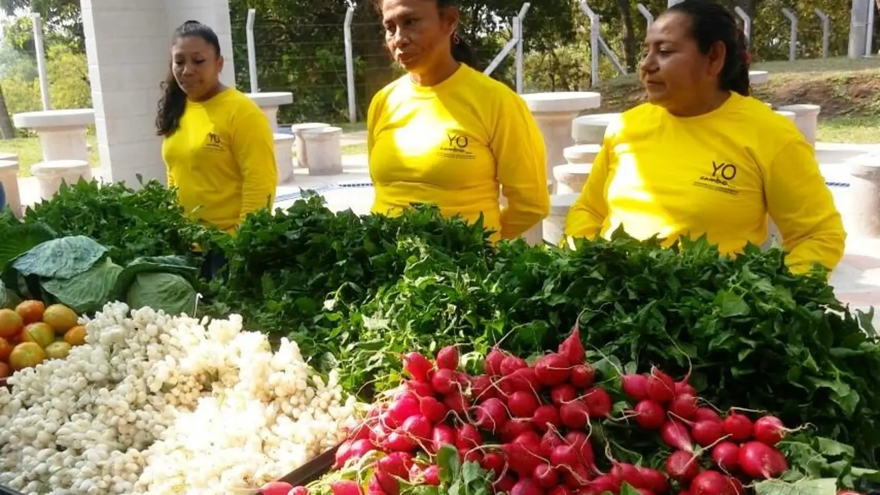 granjas penitenciarias