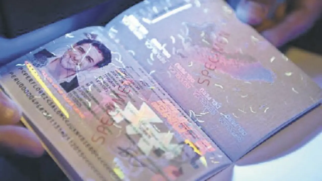 Pasaporte foto referencia