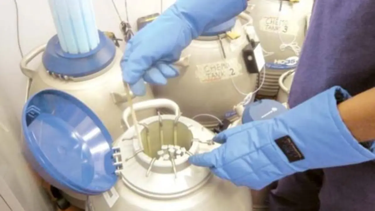 Los bancos de semen y &oacute;vulos 