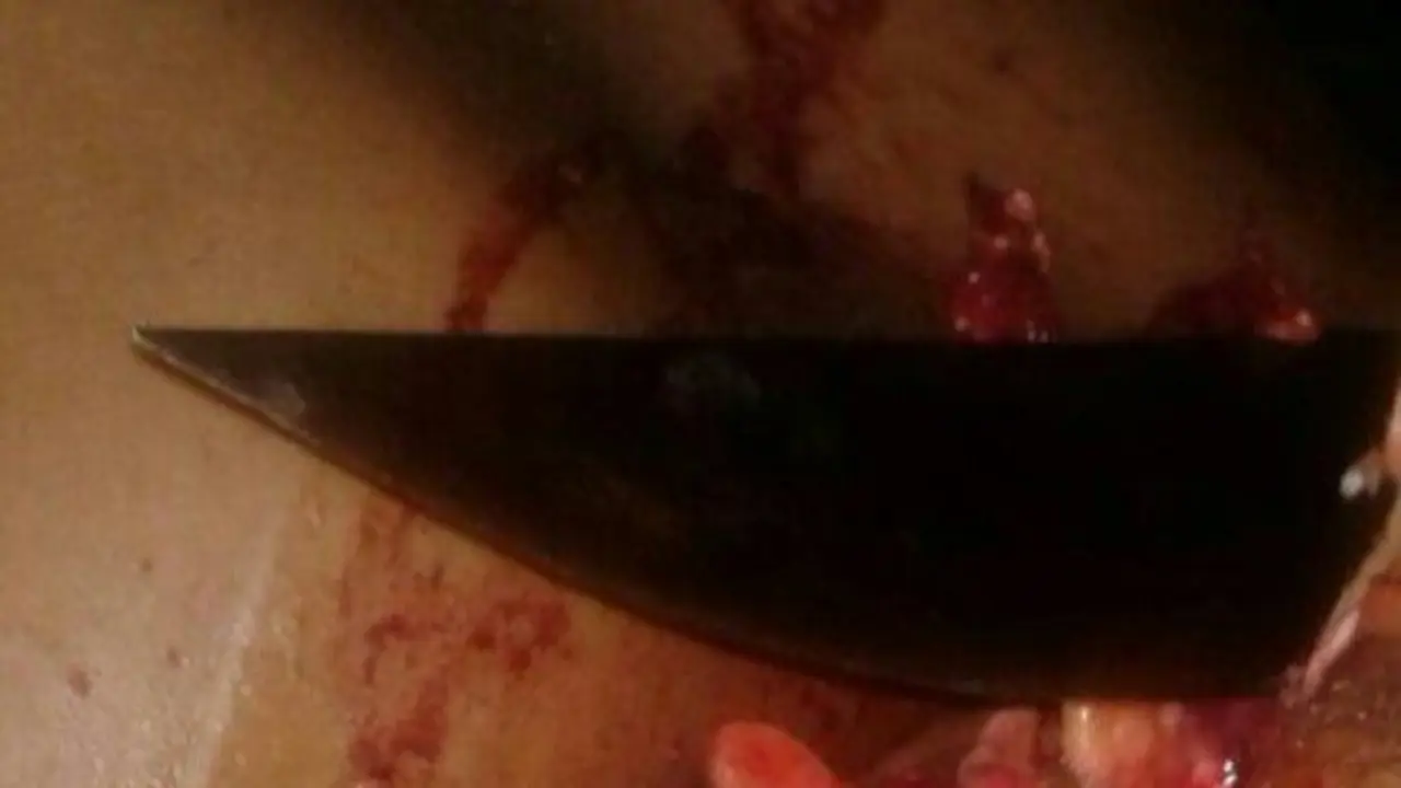 IMG_20170513_213702-1-1