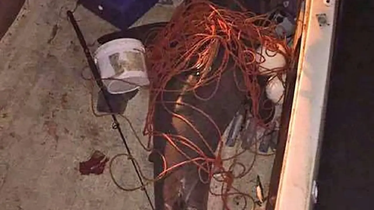 Tibur&oacute;n ataca a un pescador en Australia