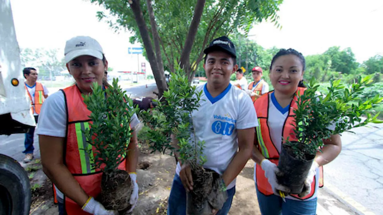 Esquina Walmart 15jun2017(1)