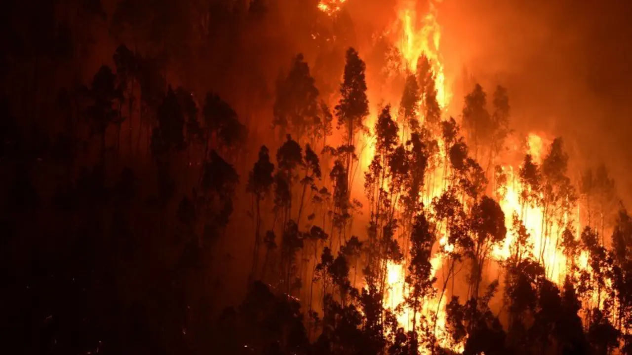A picture taken on June 18, 2017 shows a forest in flames during a wildfire near the village of Mega Fundeira. 
Portugal declared three days of national mourning from June 18, 2017 after the most deadly forest fire in its recent history, raging through the centre of the country.
The fire, which broke out June 17, 2017 in the Pedrogao Grande district, had killed at least 62 people and injured more than 50, according to the latest official update by Sunday afternoon.   / AFP PHOTO / MIGUEL RIOPA