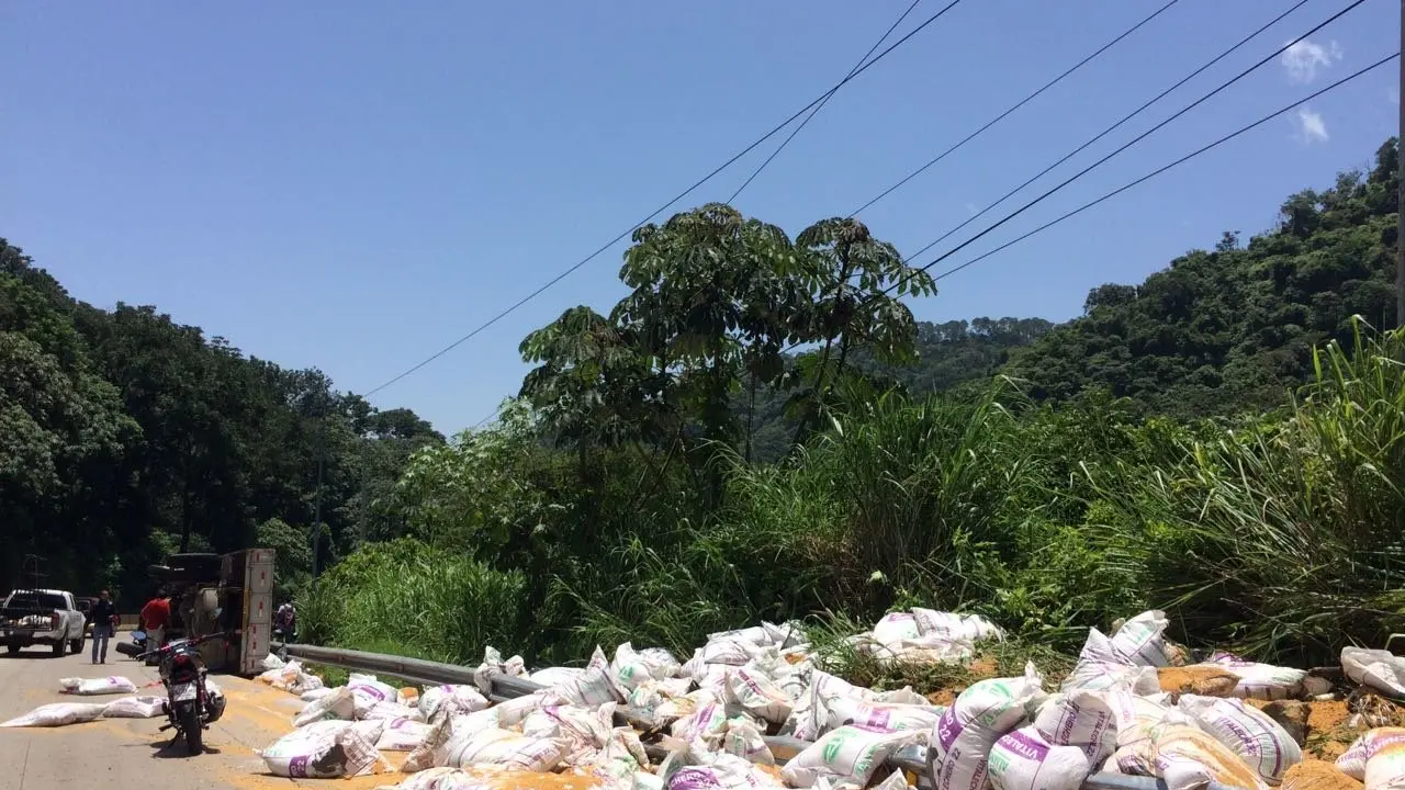 Cami&oacute;n volcado Los Chorros