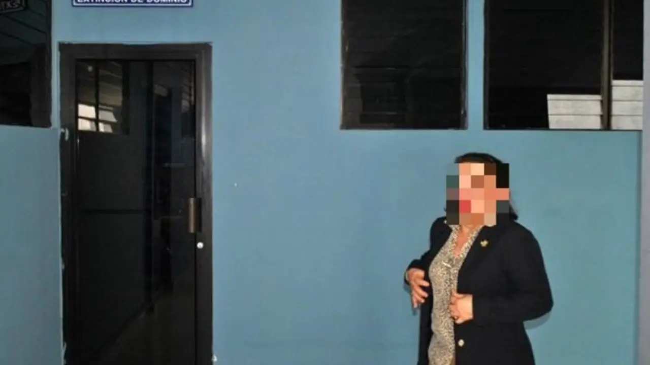 extinision de dominio