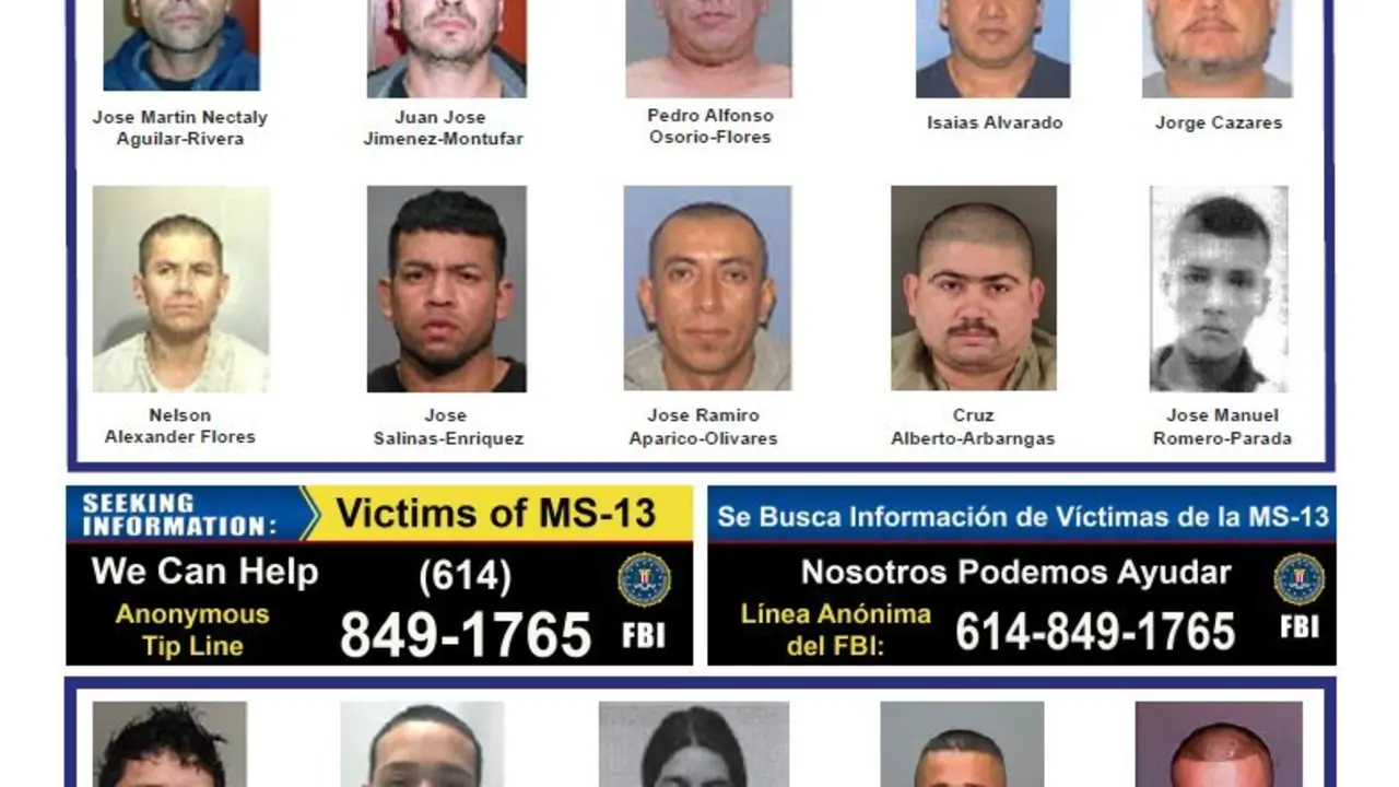 MS detenidos en Ohio