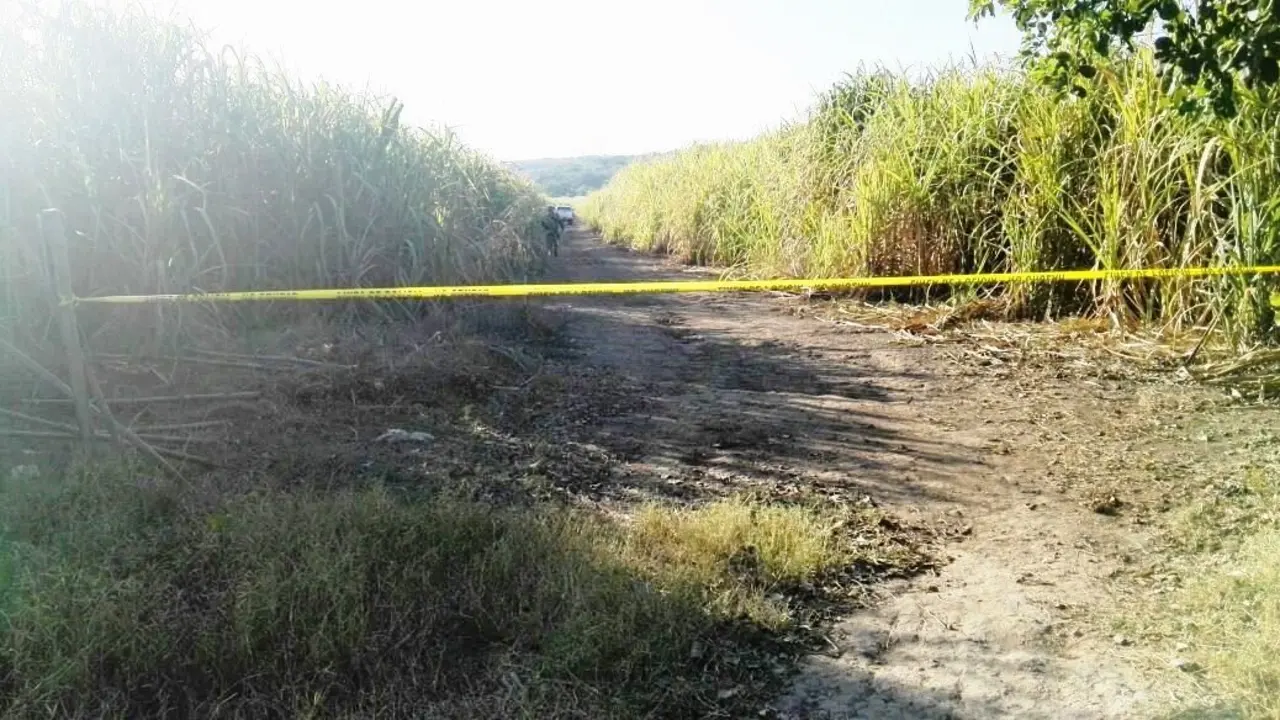 Ca&ntilde;ales de Zacate