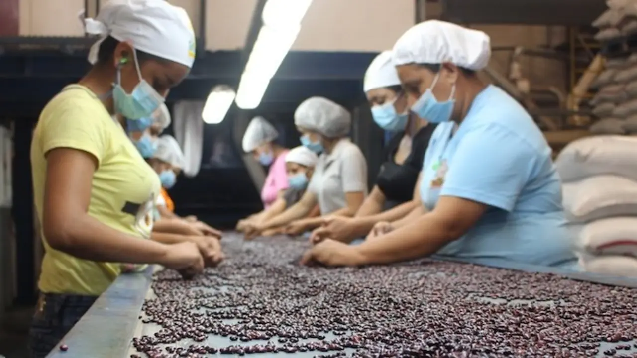 Importaci&oacute;n de frijol de Etiop&iacute;a y Nicaragua.