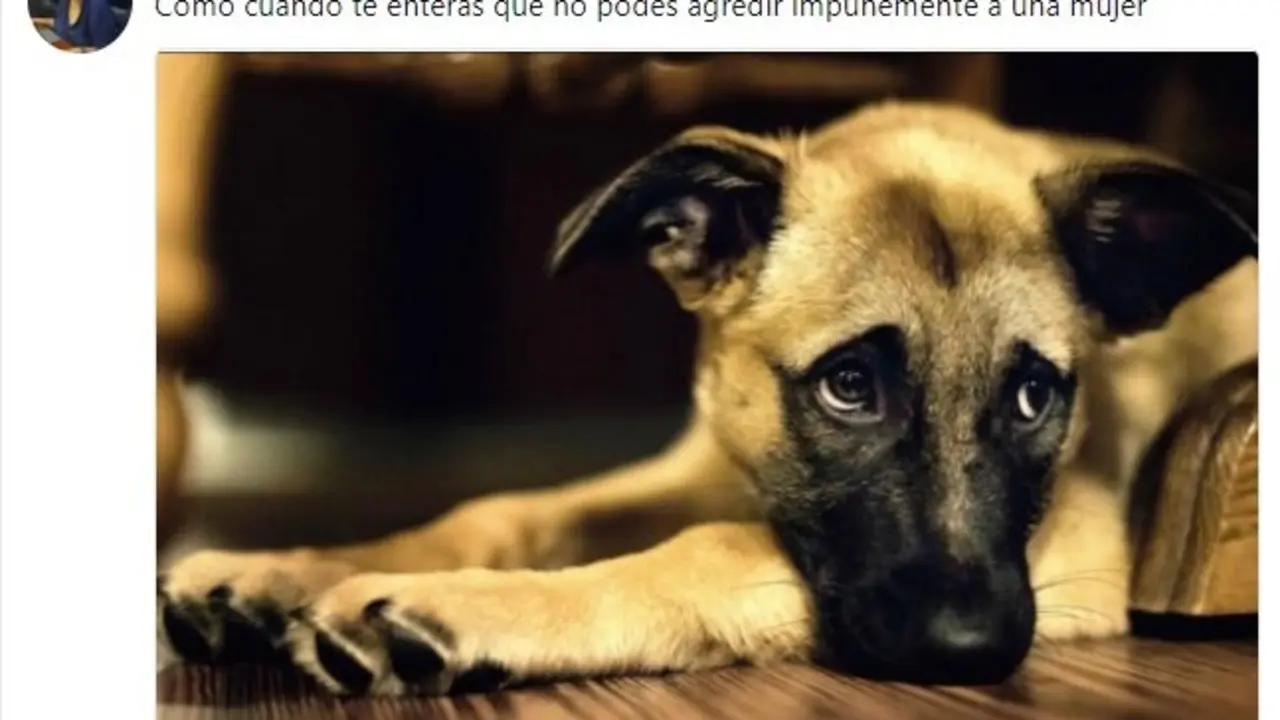 Tuir de Lorena Pe&ntilde;a