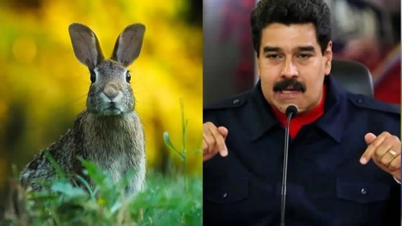Maduro