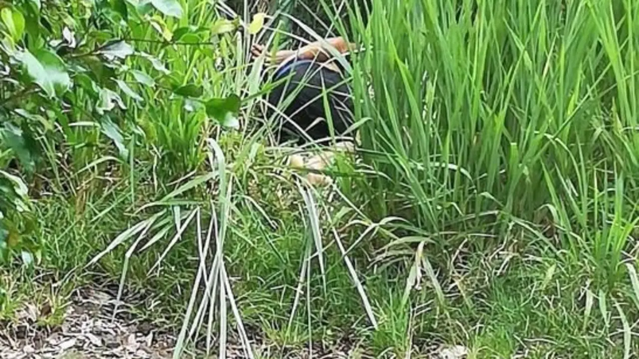 Asesinado en Zaragoza