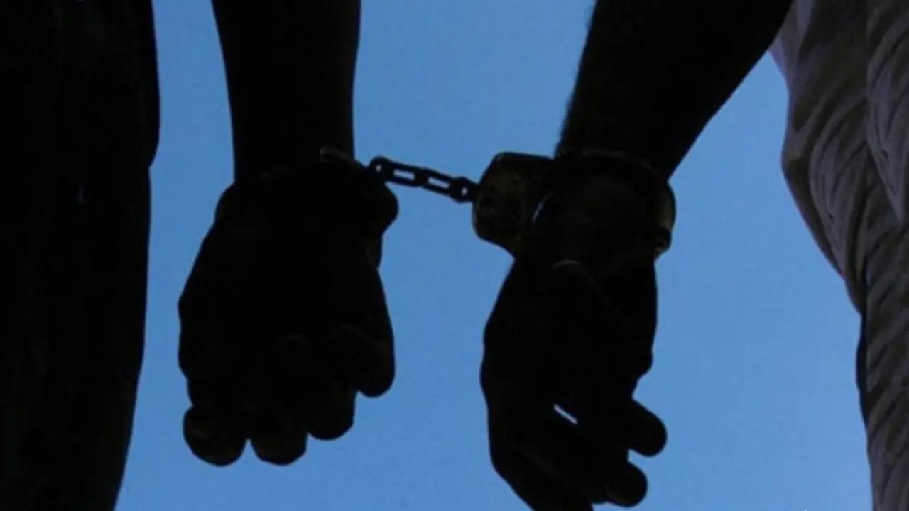 Polic&iacute;as detenidos