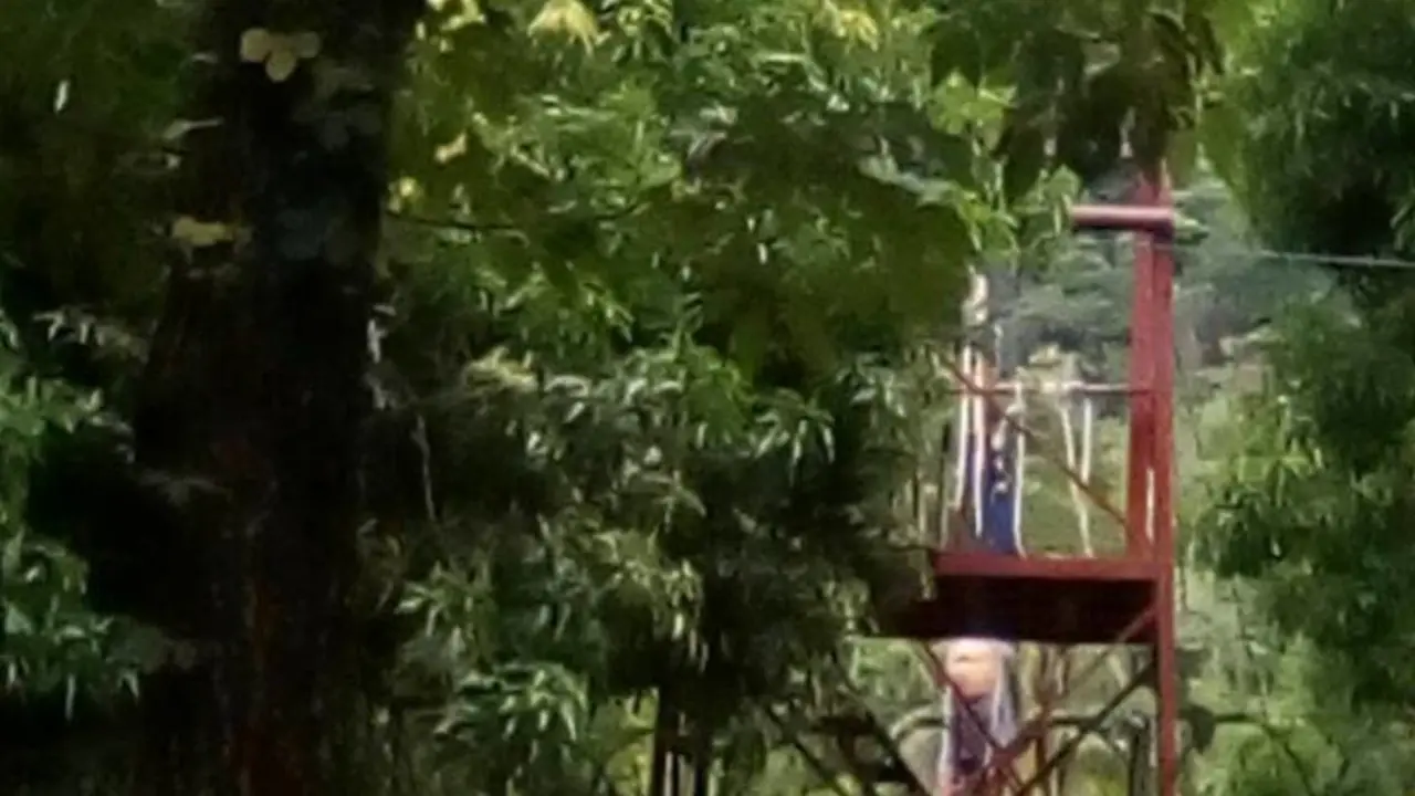 22338966_364707273979758_6377979454833716789_o