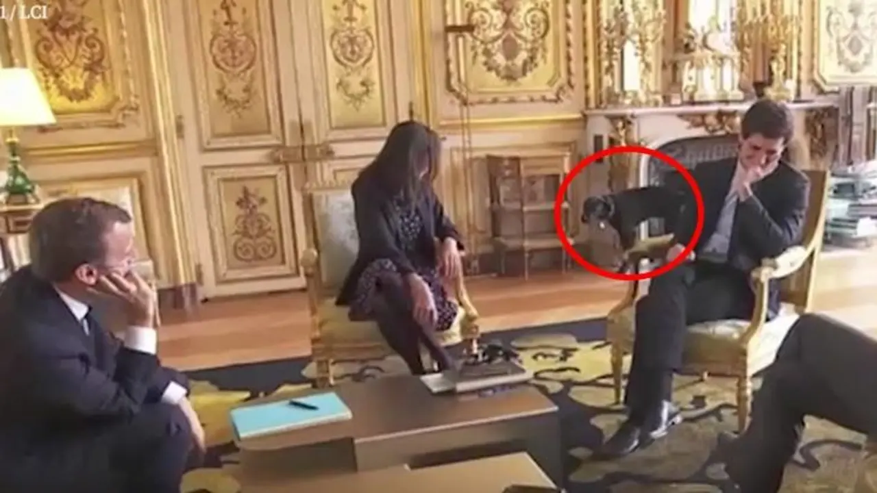 macron-dog-peeing-759