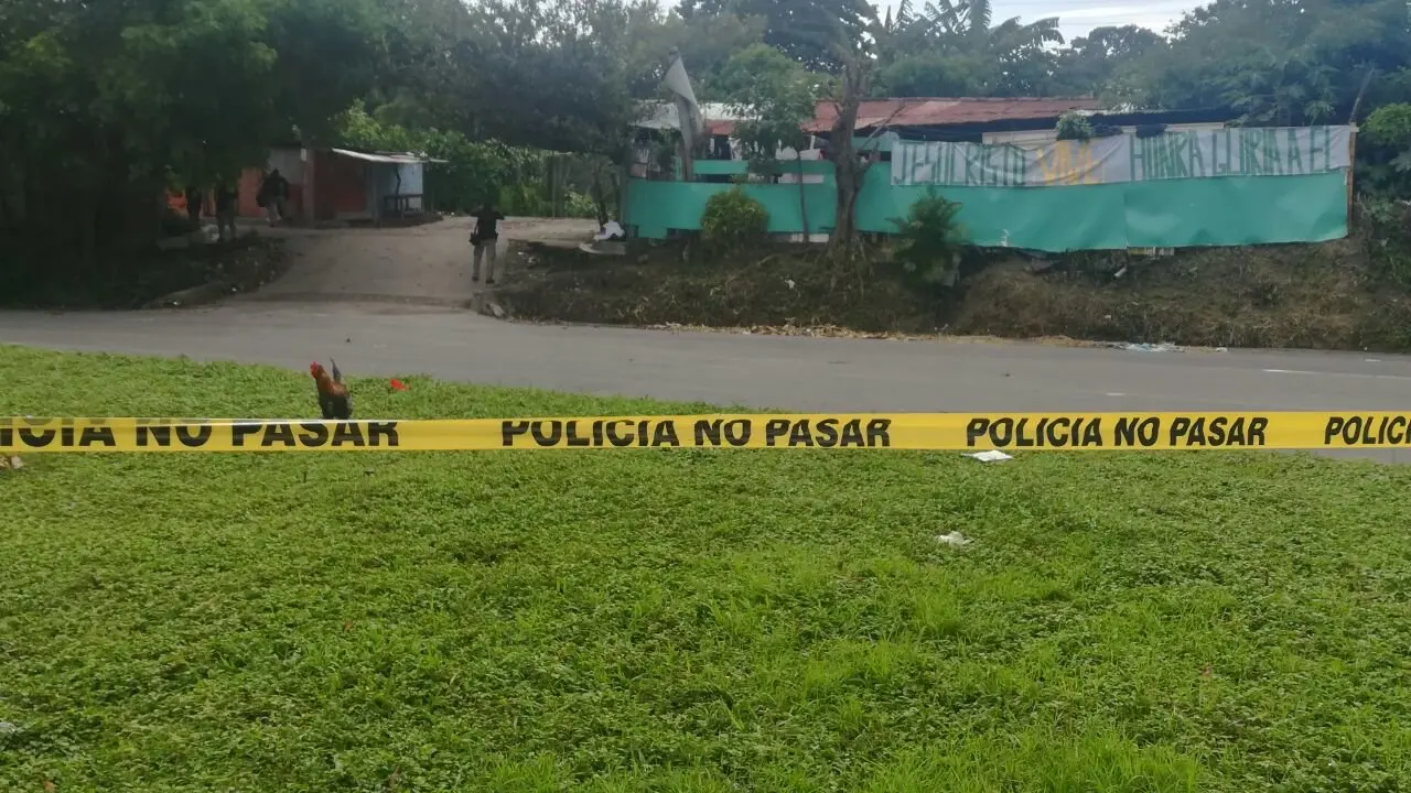 Perulap&aacute;n muerto