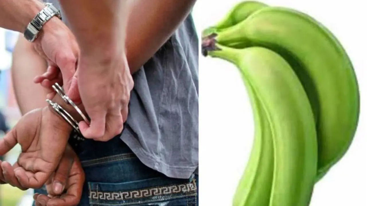 Asaltaba con bananos