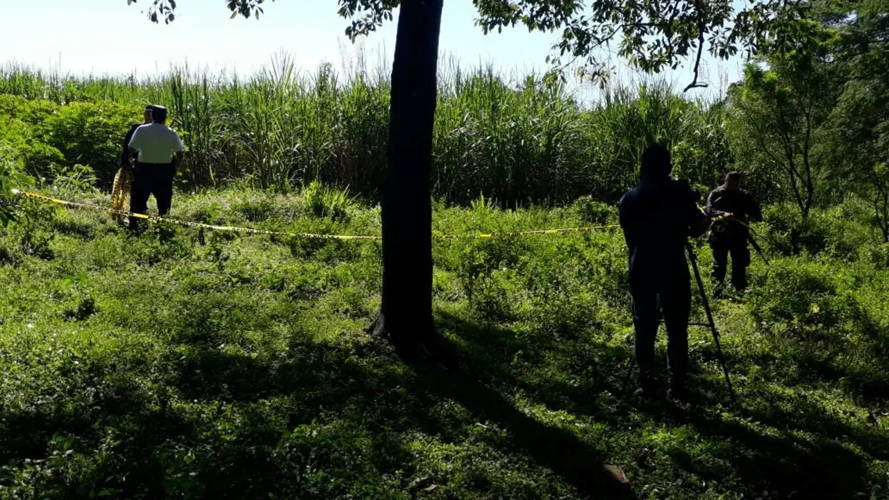 WhatsApp Image 2017-11-12 at 9.11.52 AM