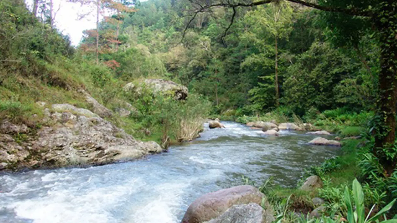 Quebrada en Lolotique