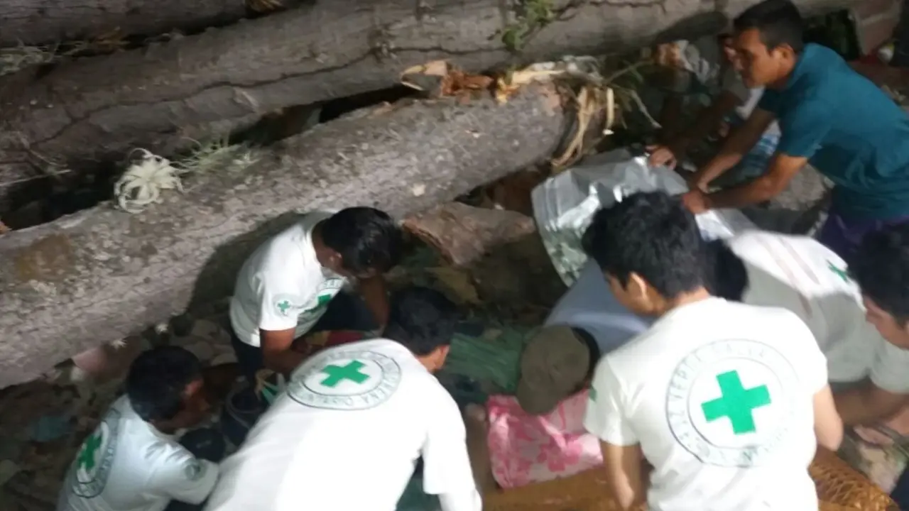 &Aacute;rbol de Ceiba cae en vivienda