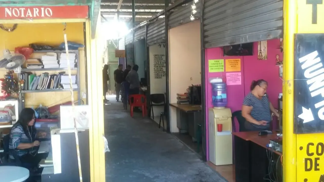 WhatsApp Image 2017-12-19 at 12.29.47 PM