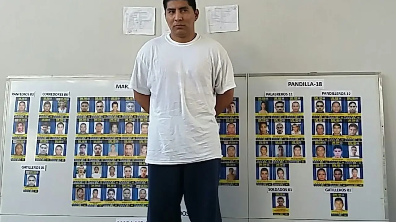 100 de los m&aacute;s buscados