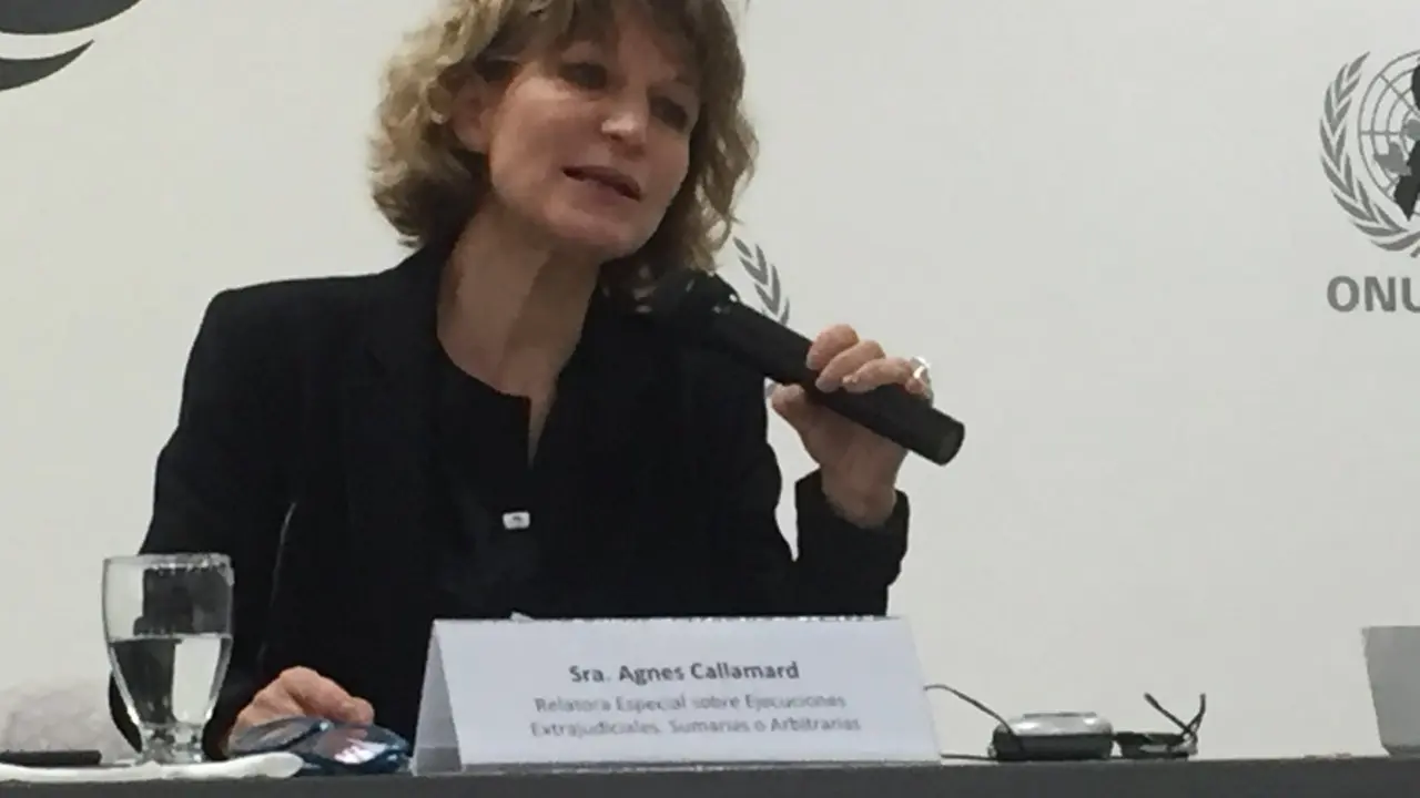 Agnes Callamard
