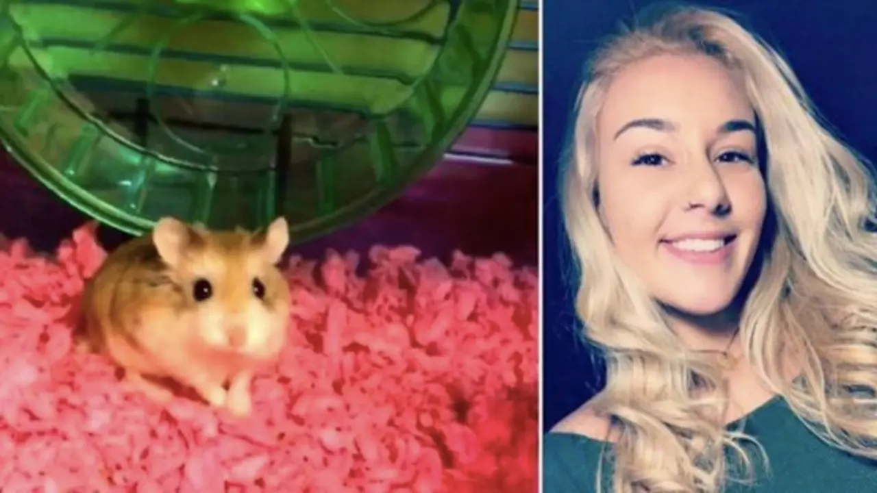 Mujer lanza hamster por el inodoro