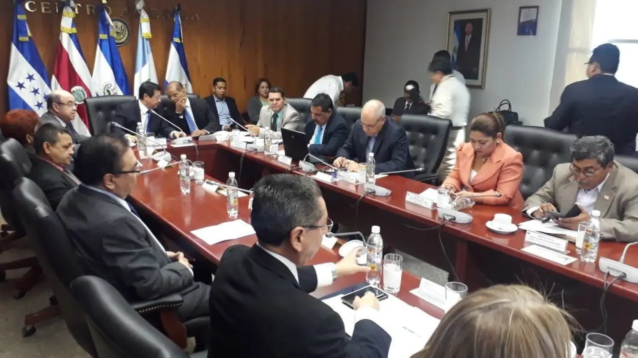 Comisi&oacute;n Seguridad