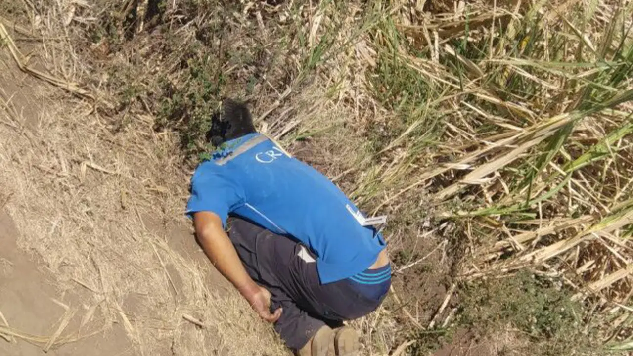 68c83409-6ffe-4b99-a642-08e99d09c829