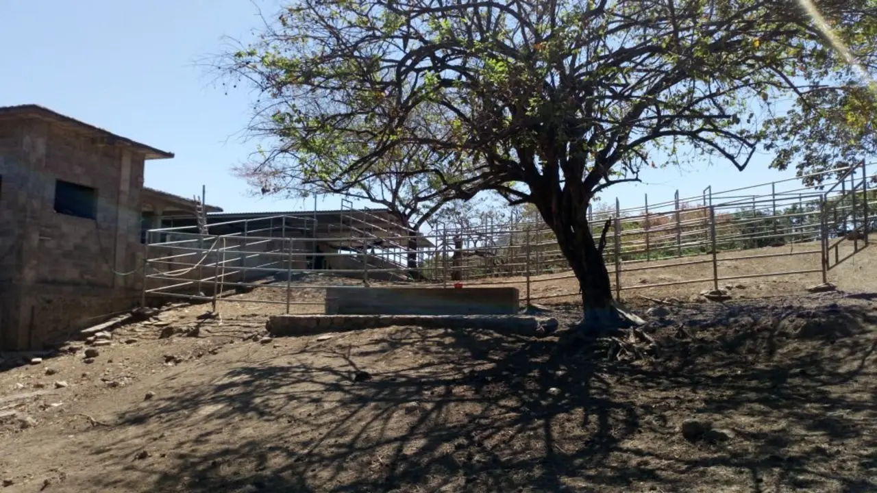 Propiedad decomisada