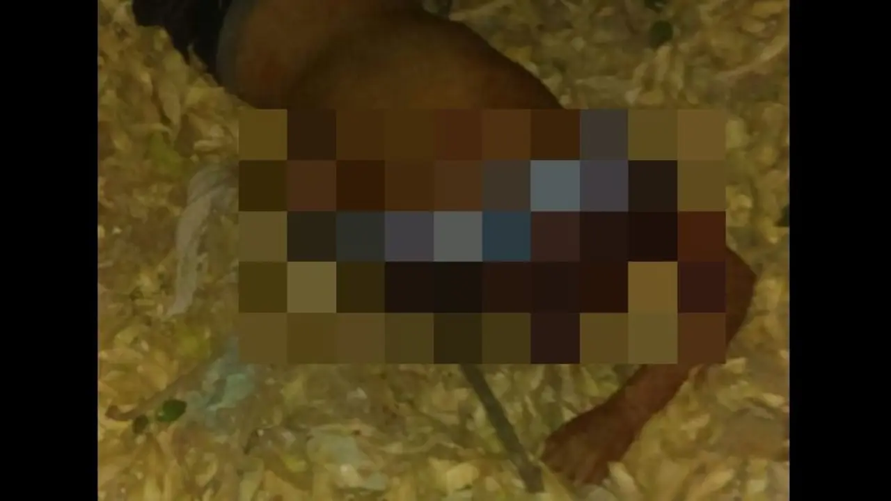 Decapitado en San Mart&iacute;n