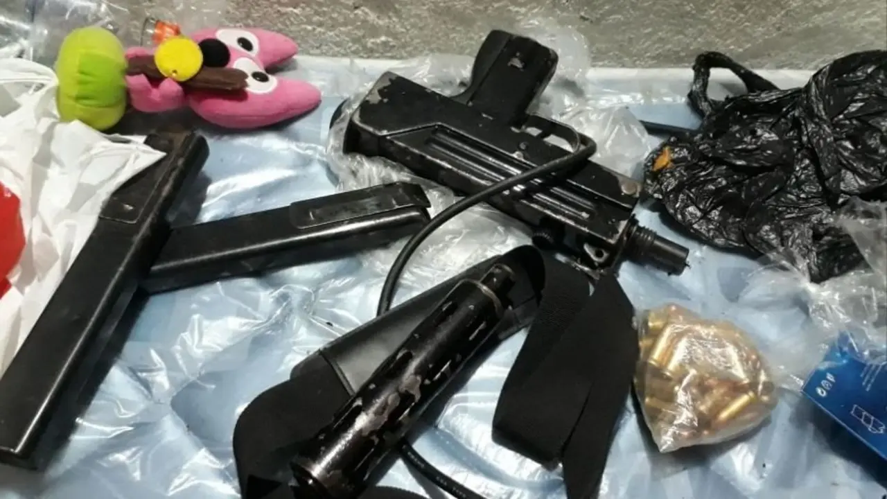 Armas en Constituci&oacute;n