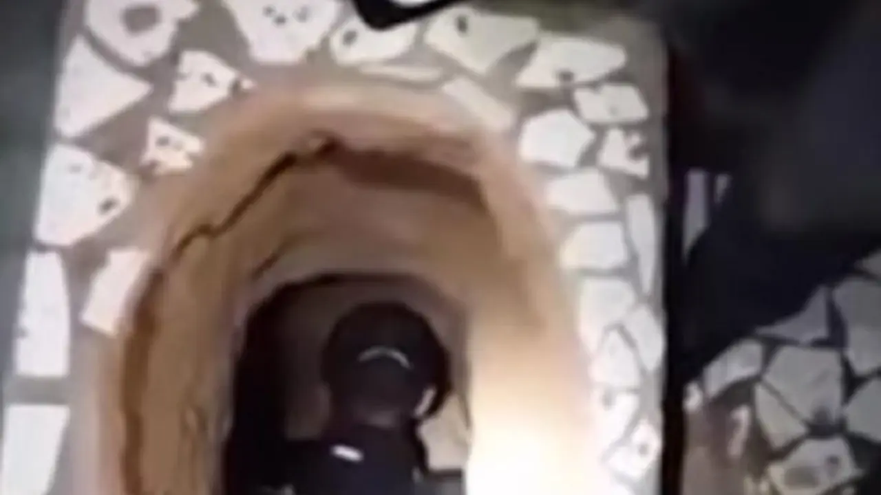 Foto tomada de El Debate