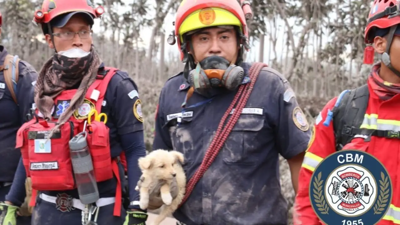 Bombero con perro rescatado