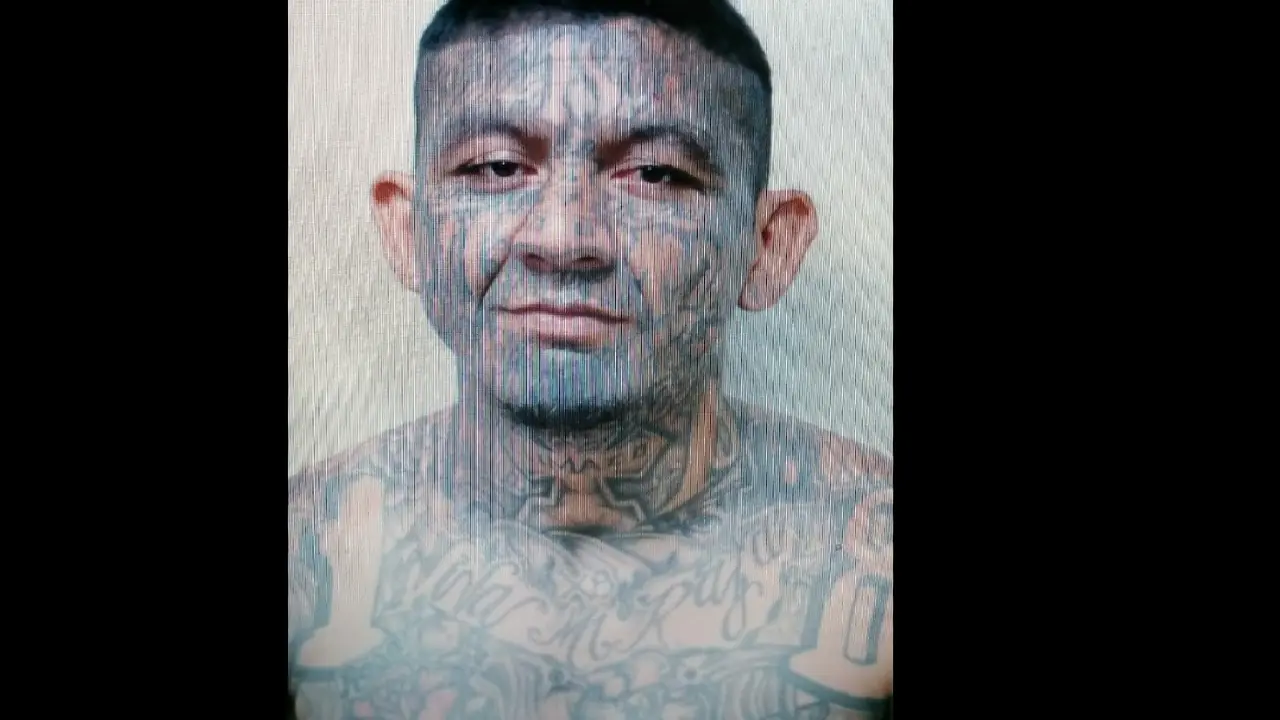 pandillero roba buses madrugador